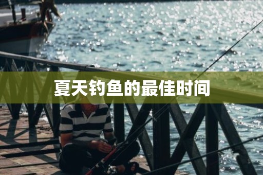 夏天钓鱼的最佳时间