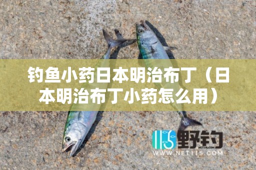 钓鱼小药日本明治布丁（日本明治布丁小药怎么用）