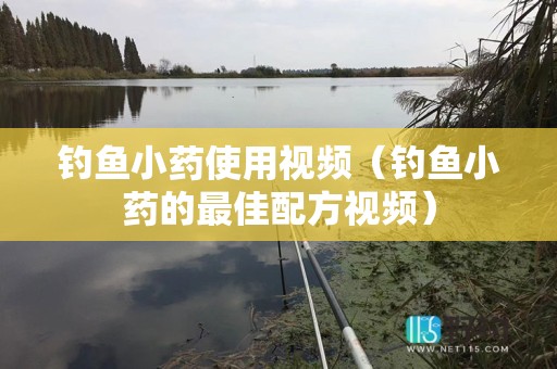 钓鱼小药使用视频（钓鱼小药的最佳配方视频）