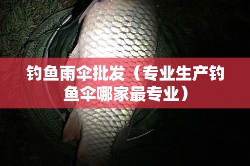 钓鱼雨伞批发（专业生产钓鱼伞哪家最专业）