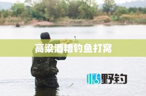 高粱酒糟钓鱼打窝