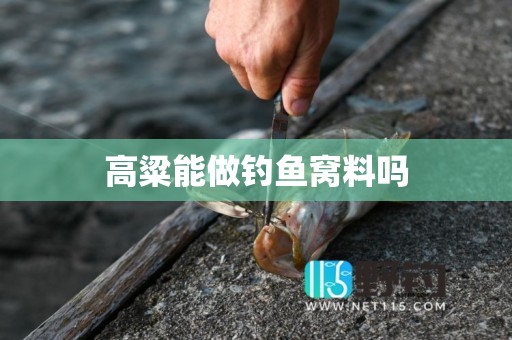 高粱能做钓鱼窝料吗