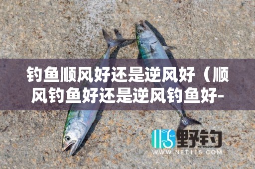 钓鱼顺风好还是逆风好（顺风钓鱼好还是逆风钓鱼好-）