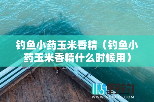 钓鱼小药玉米香精（钓鱼小药玉米香精什么时候用）