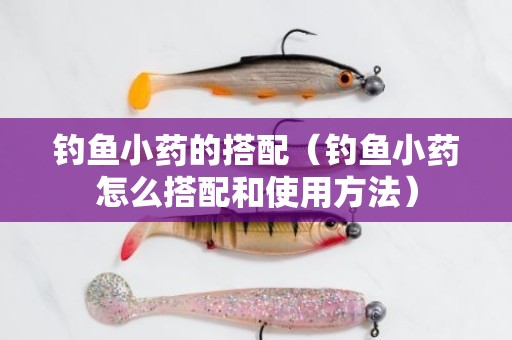 钓鱼小药的搭配（钓鱼小药怎么搭配和使用方法）