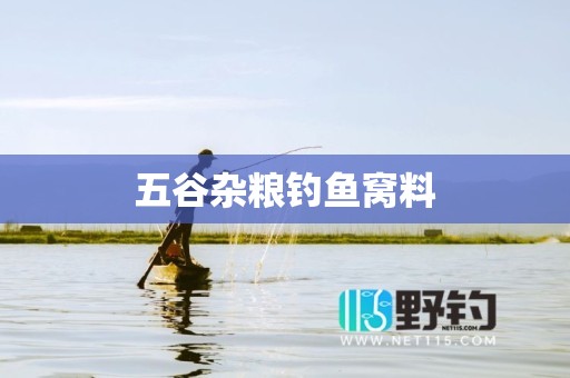 五谷杂粮钓鱼窝料