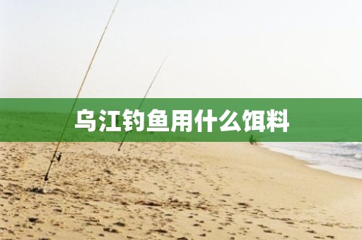乌江钓鱼用什么饵料