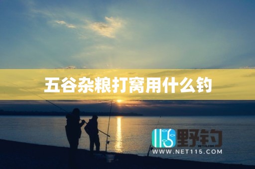 五谷杂粮打窝用什么钓