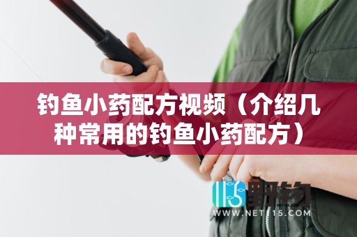 钓鱼小药配方视频（介绍几种常用的钓鱼小药配方）