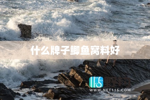 什么牌子鲫鱼窝料好