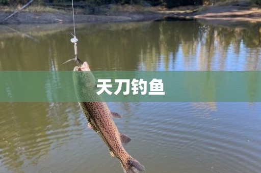 天刀钓鱼
