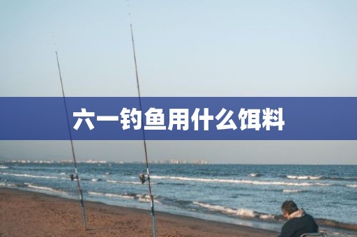 六一钓鱼用什么饵料