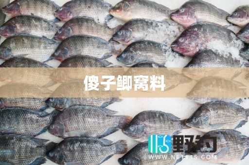 傻子鲫窝料