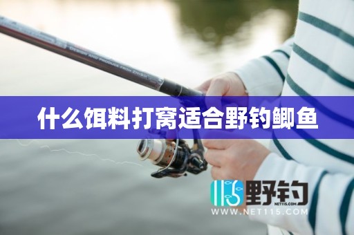 什么饵料打窝适合野钓鲫鱼