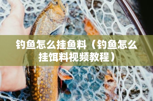钓鱼怎么挂鱼料（钓鱼怎么挂饵料视频教程）