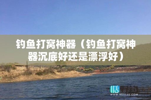 钓鱼打窝神器（钓鱼打窝神器沉底好还是漂浮好）