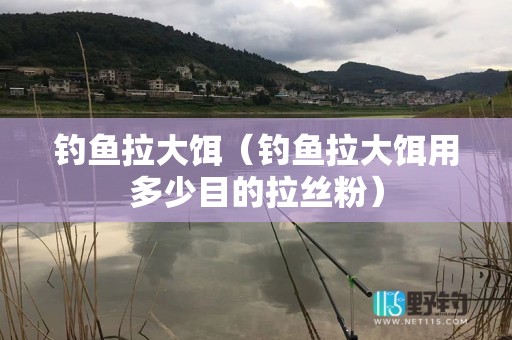钓鱼拉大饵（钓鱼拉大饵用多少目的拉丝粉）