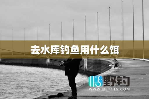 去水库钓鱼用什么饵