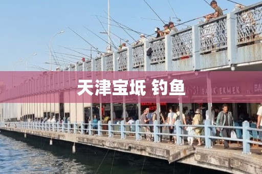 天津宝坻 钓鱼