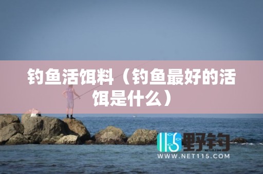 钓鱼活饵料（钓鱼最好的活饵是什么）