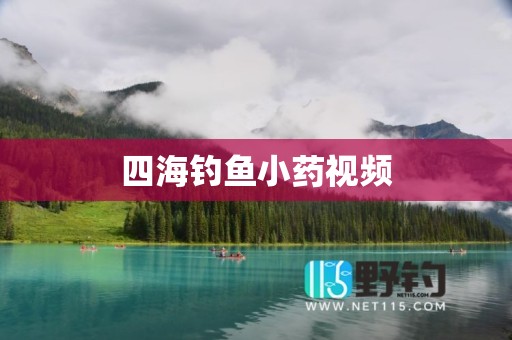 四海钓鱼小药视频
