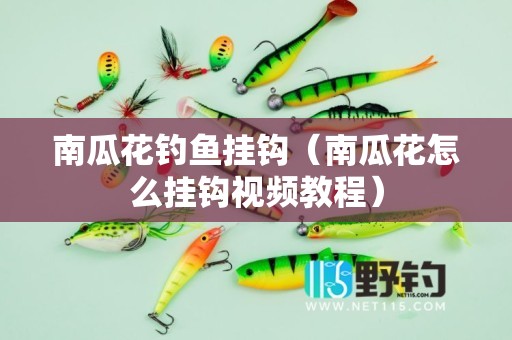 南瓜花钓鱼挂钩（南瓜花怎么挂钩视频教程）