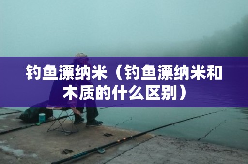 钓鱼漂纳米（钓鱼漂纳米和木质的什么区别）