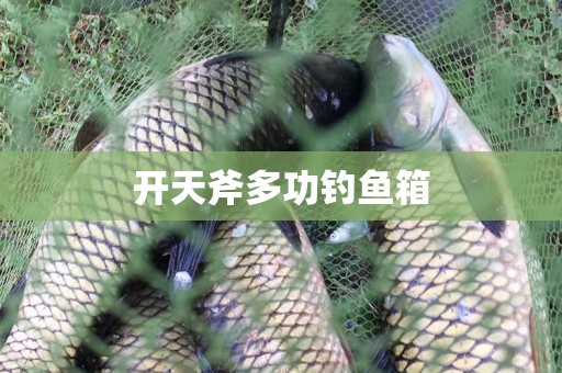 开天斧多功钓鱼箱