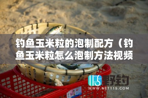 钓鱼玉米粒的泡制配方（钓鱼玉米粒怎么泡制方法视频）