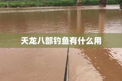 天龙八部钓鱼有什么用