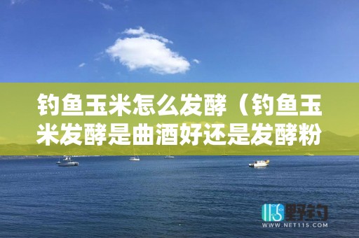 钓鱼玉米怎么发酵（钓鱼玉米发酵是曲酒好还是发酵粉好）