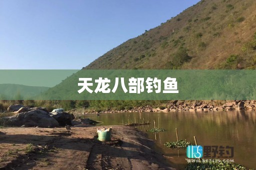 天龙八部钓鱼