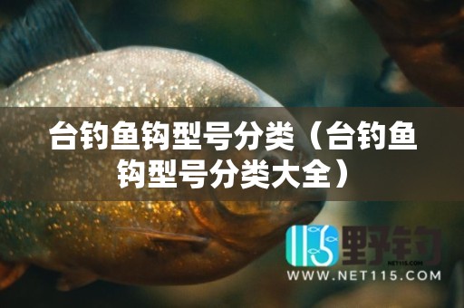 台钓鱼钩型号分类（台钓鱼钩型号分类大全）