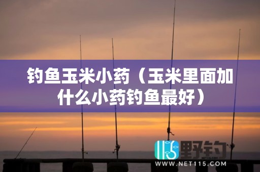 钓鱼玉米小药（玉米里面加什么小药钓鱼最好）