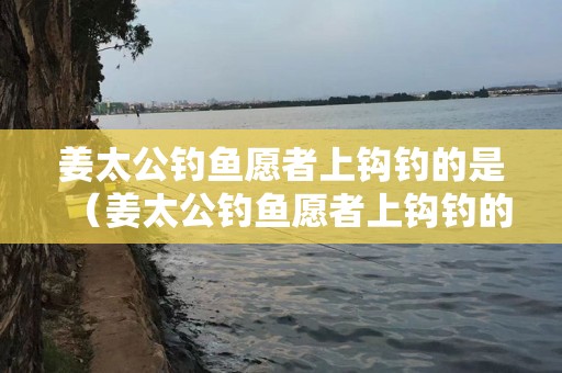 姜太公钓鱼愿者上钩钓的是（姜太公钓鱼愿者上钩钓的是周文王对不对）