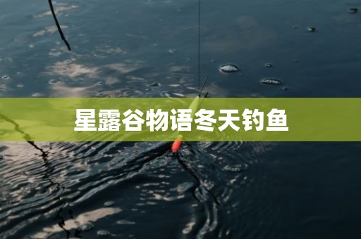 星露谷物语冬天钓鱼