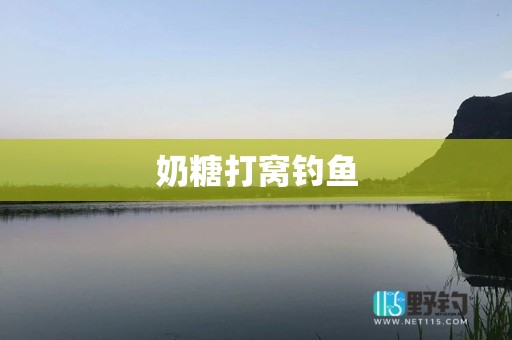 奶糖打窝钓鱼