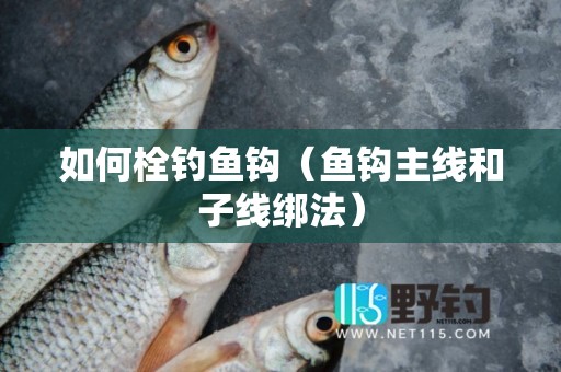 如何栓钓鱼钩（鱼钩主线和子线绑法）