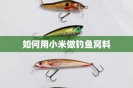 如何用小米做钓鱼窝料