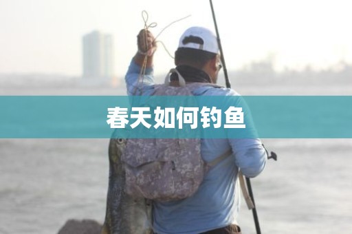 春天如何钓鱼