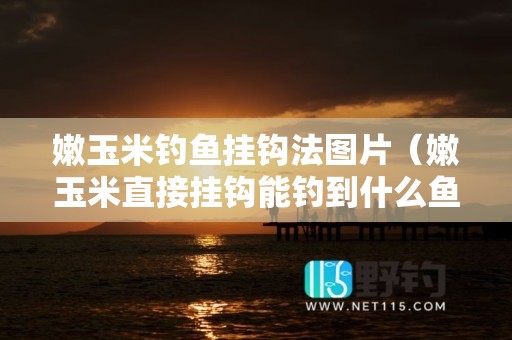 嫩玉米钓鱼挂钩法图片（嫩玉米直接挂钩能钓到什么鱼）