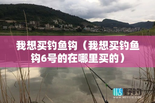 我想买钓鱼钩（我想买钓鱼钩6号的在哪里买的）
