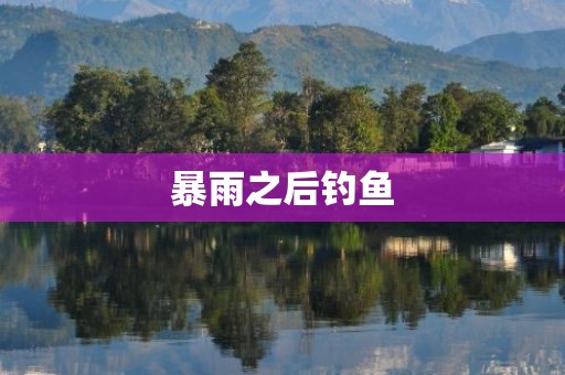 暴雨之后钓鱼