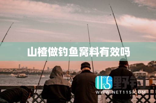山楂做钓鱼窝料有效吗