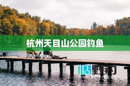 杭州天目山公园钓鱼