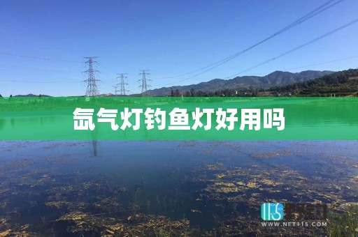 氙气灯钓鱼灯好用吗