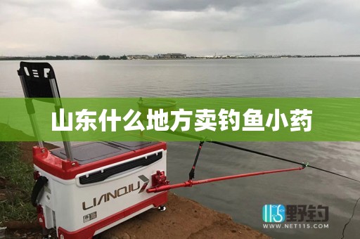 山东什么地方卖钓鱼小药