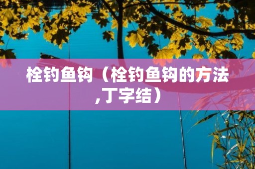 栓钓鱼钩（栓钓鱼钩的方法,丁字结）