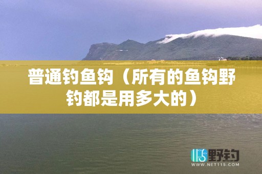 普通钓鱼钩（所有的鱼钩野钓都是用多大的）