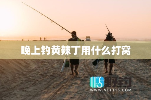 晚上钓黄辣丁用什么打窝